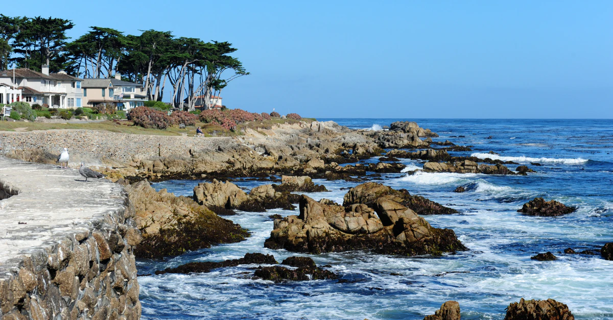 things to do in monterey